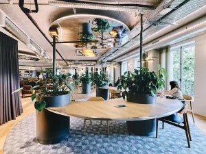 Open Space The House Bureau