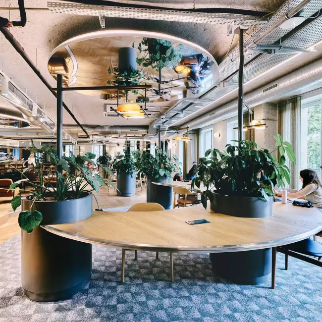 Open Space The House Bureau